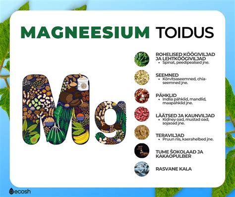magneesium toidus